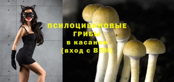 дмт Балабаново